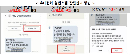 [금융감독원 제공]